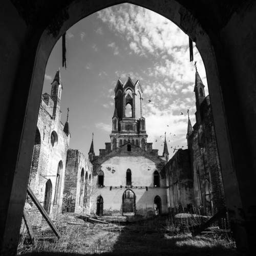 Фотография #10437217