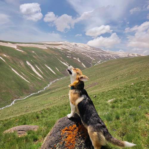 Photo #10437371