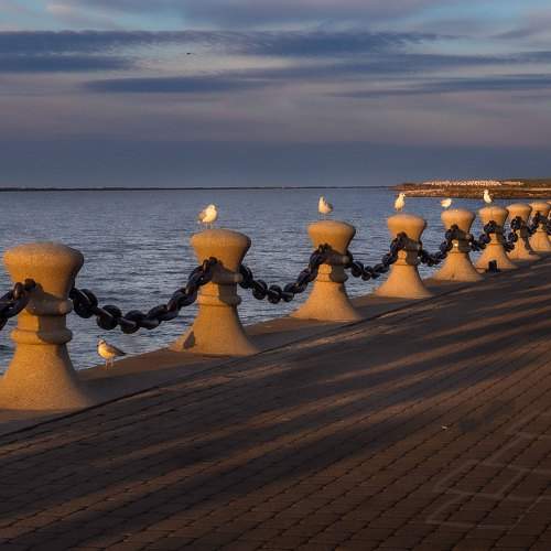 Photo #10437544