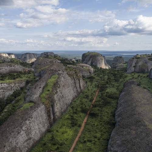Photo #10437553