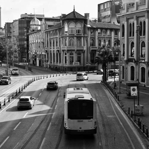 Photo #10437637