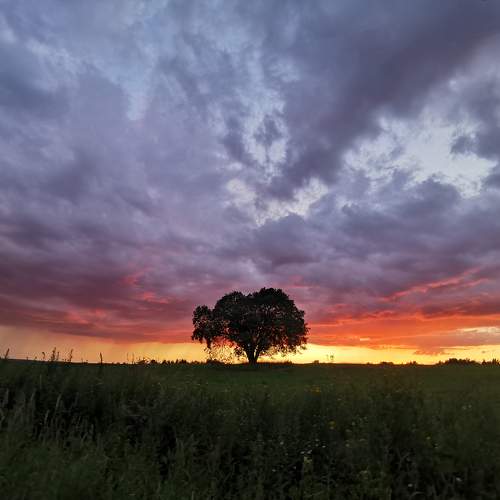 Photo #10437711