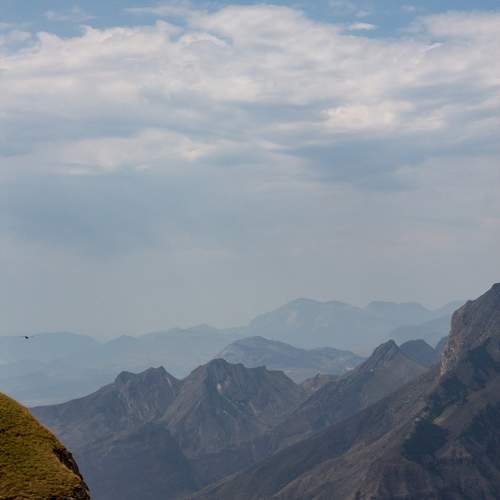 Photo #10437834