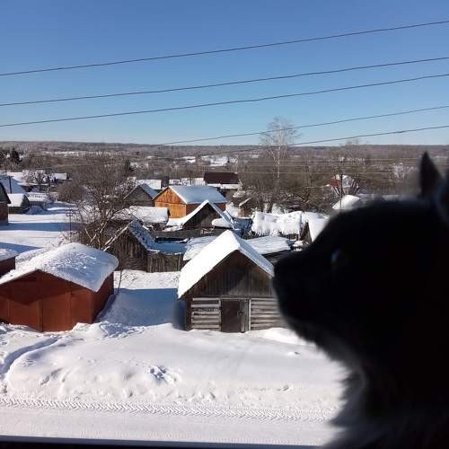 Photo #10437881