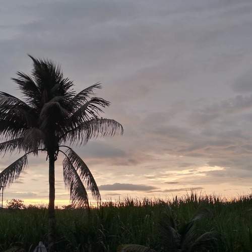 Photo #10438161