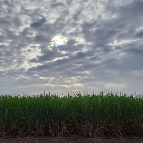 Photo #10438162