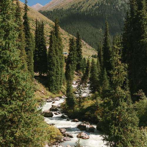 Photo #10438231