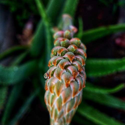 Photo #10438287