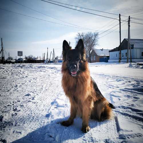 Photo #10438476