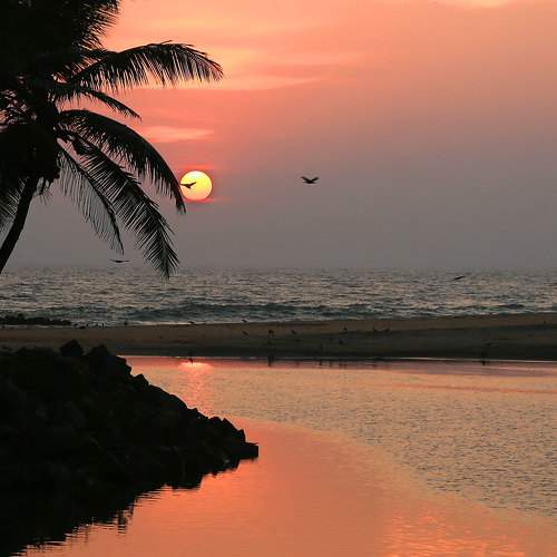 Photo #10438525