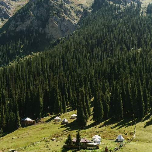 Photo #10438596