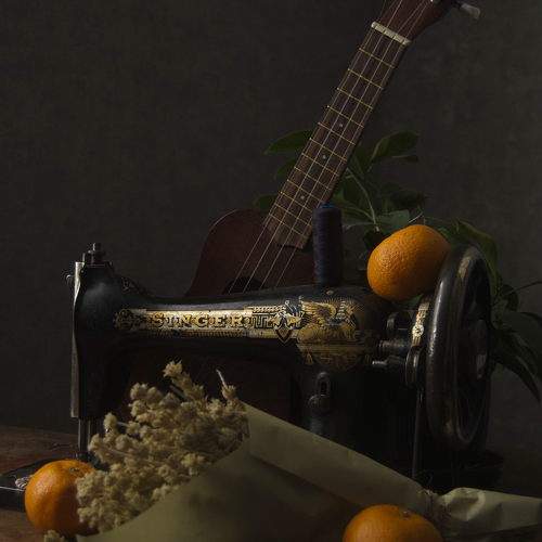 Photo #10438655