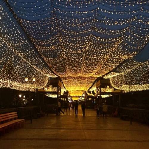 Photo #10439177