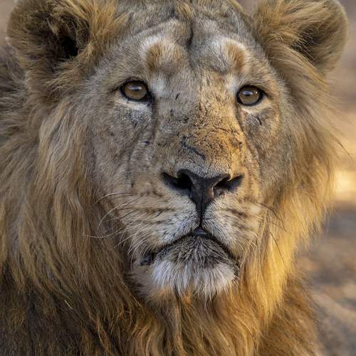 Photo #10439460