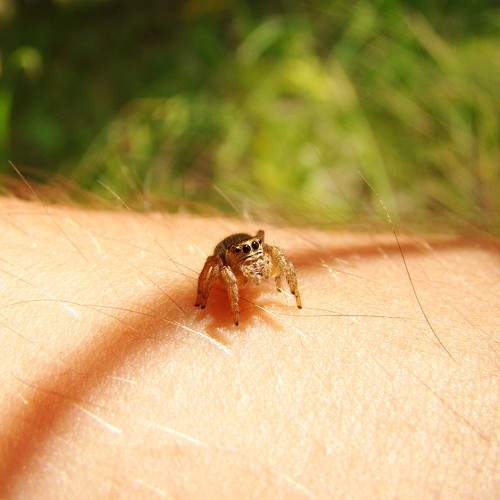 Photo #10439557
