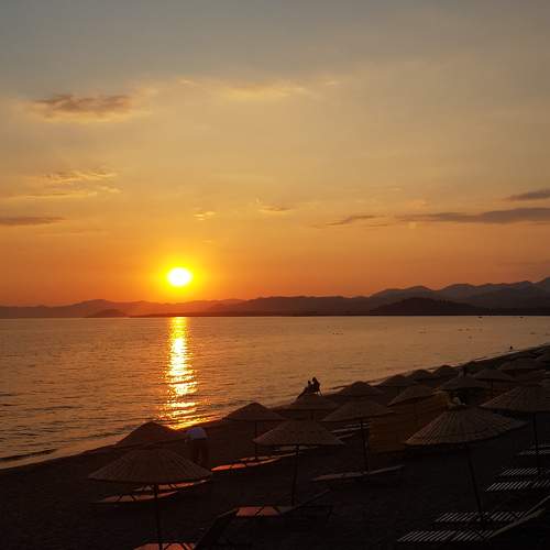 Photo #10439623