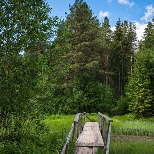 Photo #10439881