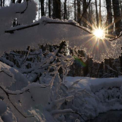Photo #10439942