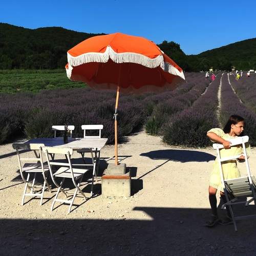 Photo #10439950