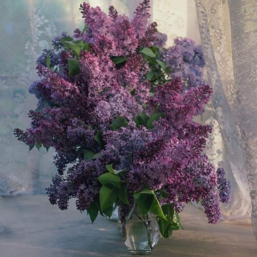 Photo #10439975