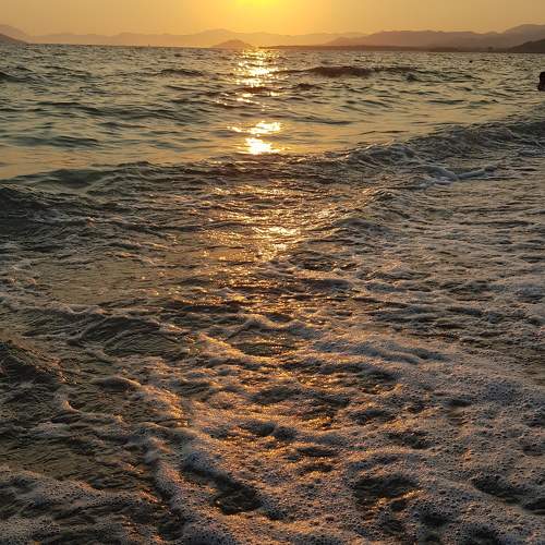 Photo #10440221