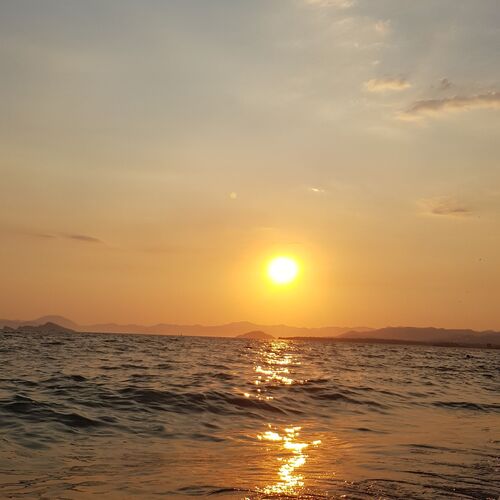 Photo #10440247