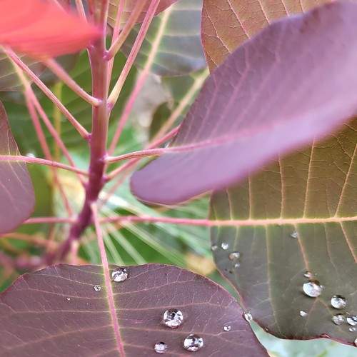 Photo #10440421