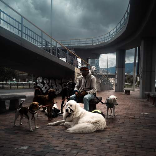 Photo #10440565