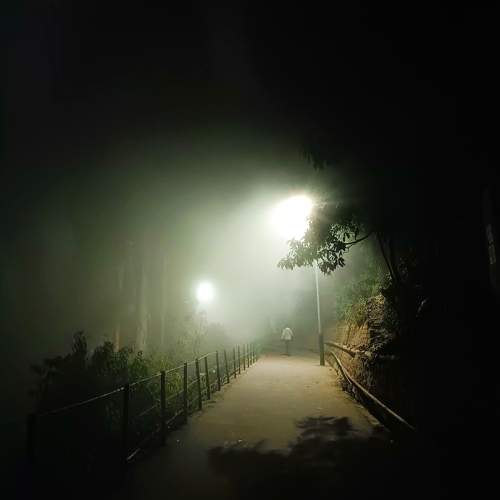 Embracing the night
