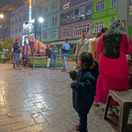 Photo #10440755