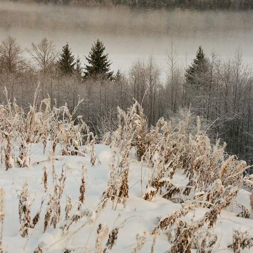 Photo #10440759