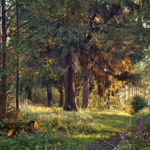 Photo #10440769