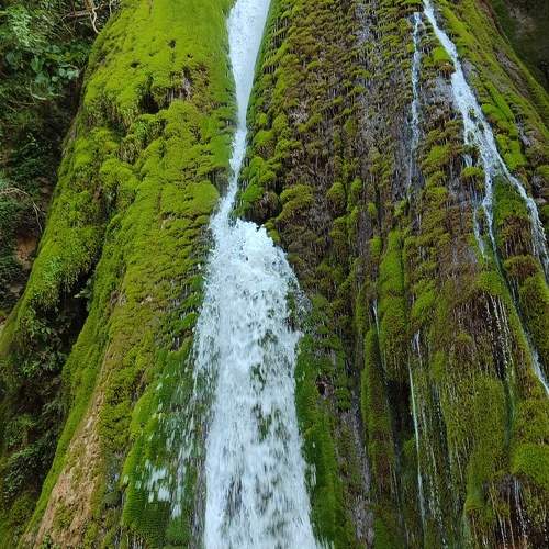Photo #10440981