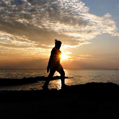 Photo #10441048