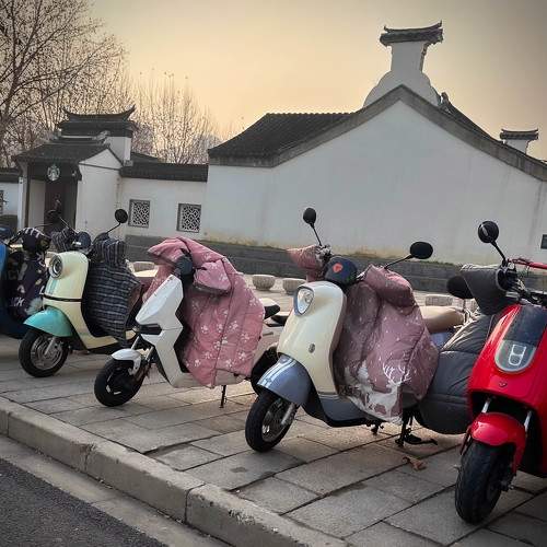 Photo #10441051