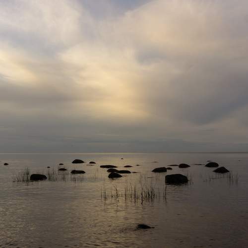 Photo #10441771