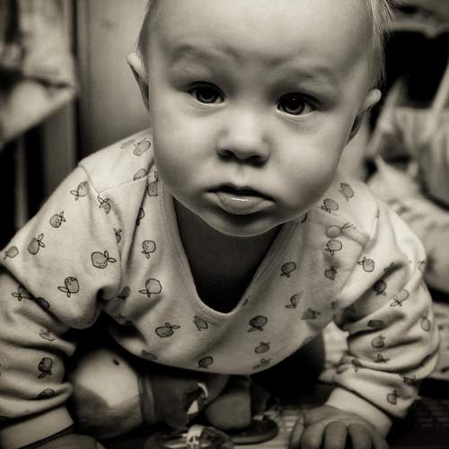 Photo #10442185