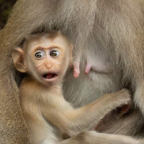 Photo #10442196
