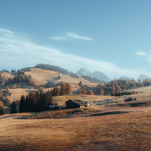 Photo #10442198