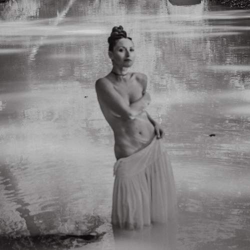 Photo #10442287