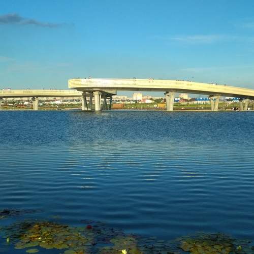Photo #10442515
