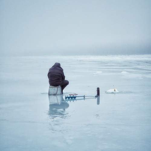 Photo #10442748