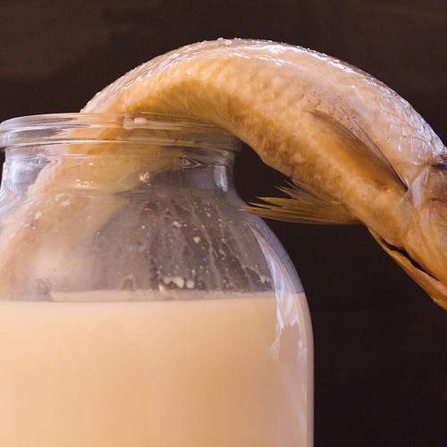 Photo #10442757