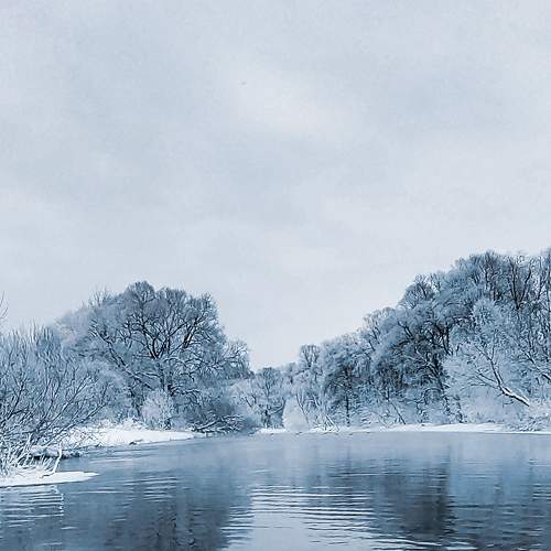 Photo #10442822