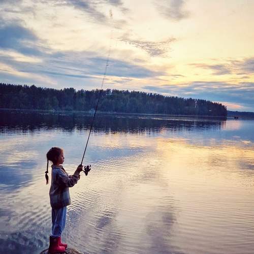 Photo #10442953