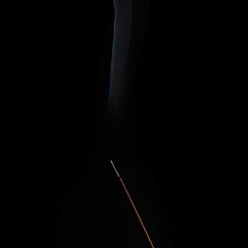 Photo #10443606