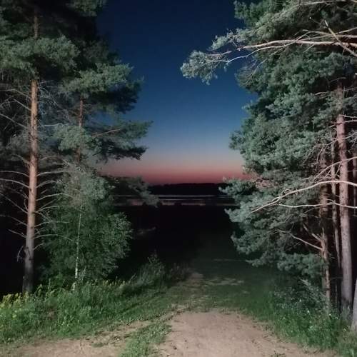 Photo #10443731