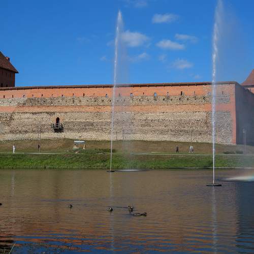 Photo #10443931