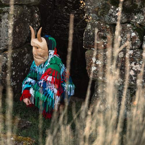 Photo #10443987