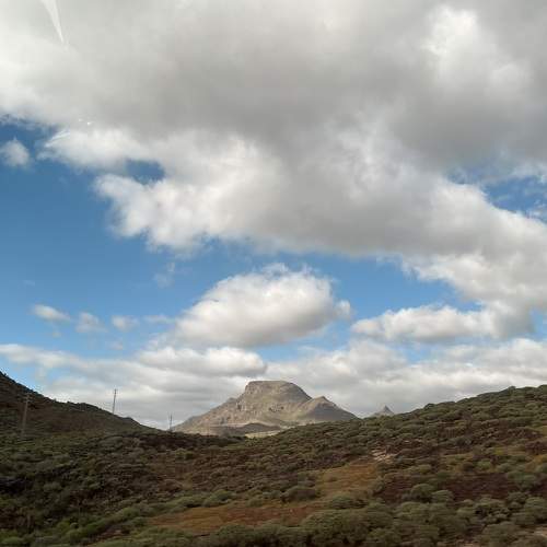 Photo #10444163